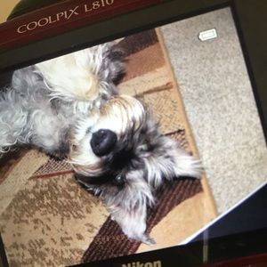 Meet your Posher, Karina